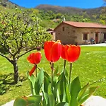 El Molino De Nocedo *