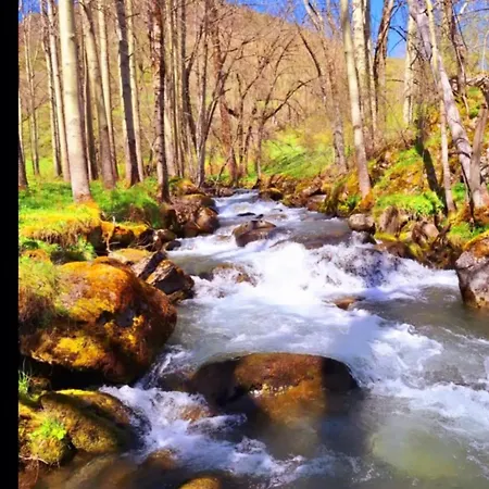 El Molino De Nocedo *