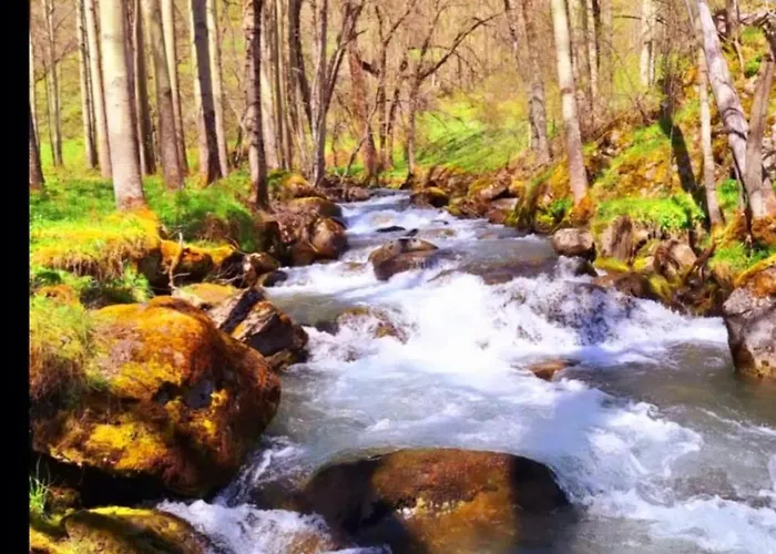 El Molino De Nocedo *