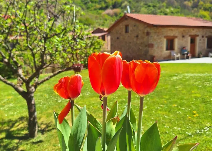 El Molino De Nocedo *